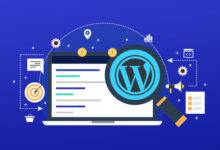 A Complete Guide to Accessing the Strengths of WordPress SEO